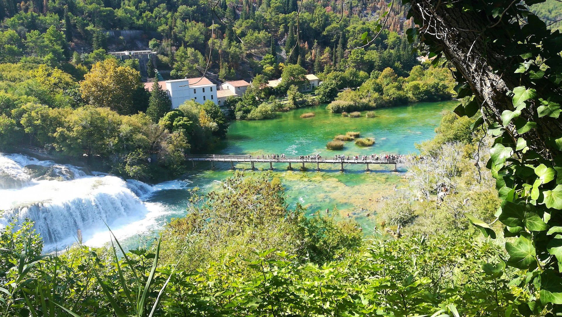 View 3