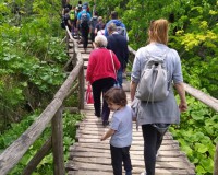 Plitvice Lakes Tour from Split