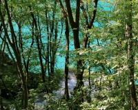 Plitvice Lakes Tour from Split