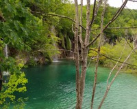 Plitvice Lakes Tour from Split