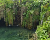 Plitvice Lakes Tour from Split