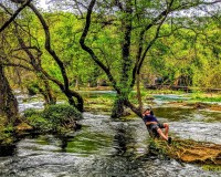 Krka Day Tour from Split