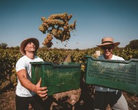 Krka waterfalls tour with wine & cheese