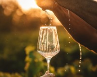 Krka waterfalls tour with wine & cheese