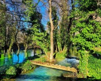 Krka Day Tour from Split
